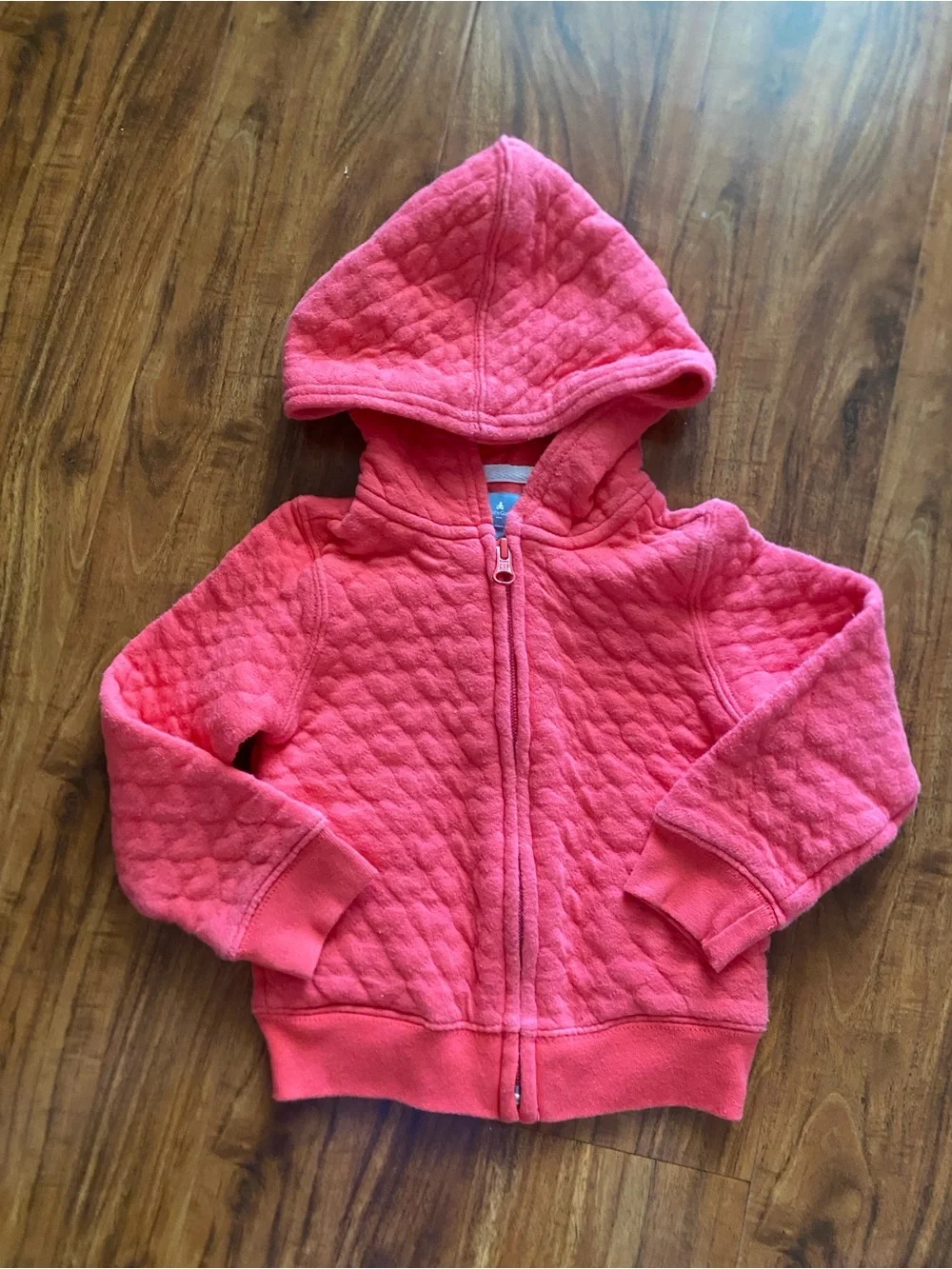 GAP Toddler Girls Watermelon + Blue Floral Hooded Zip Up Sweatshirts Size 2T
